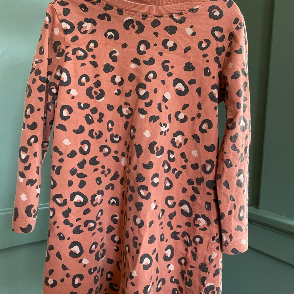 Hanna Andersson Rust Leopard Print Shirt Dress